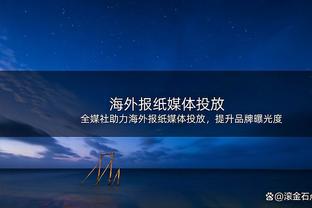 记者：深圳新鹏城内援人选有林创益、张卫、陶源、彭鹏等